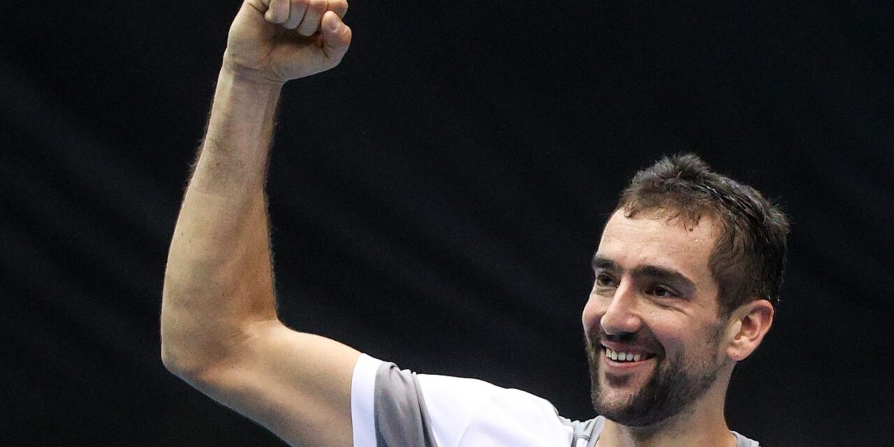 marin čilić