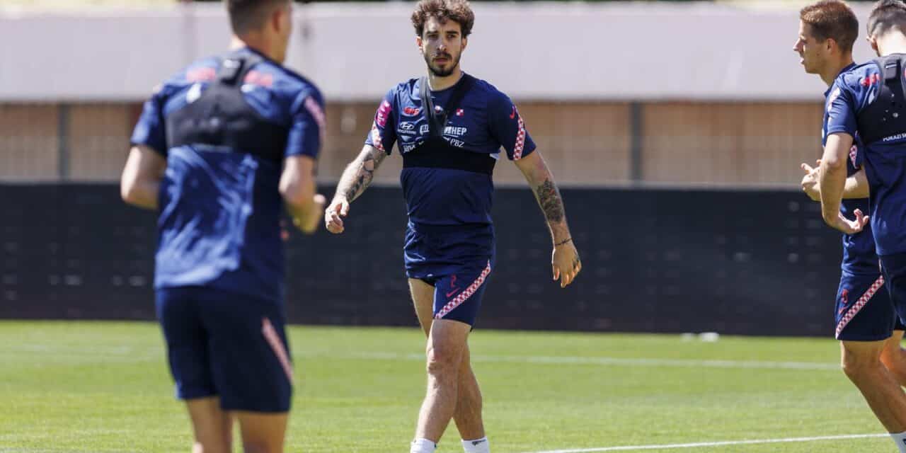 šime vrsaljko