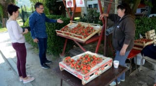 Čukovec, poznati i kao selo jagoda, gdje gotovo svako kućanstvo prodaje to voće