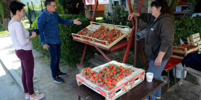 Čukovec, poznati i kao selo jagoda, gdje gotovo svako kućanstvo prodaje to voće