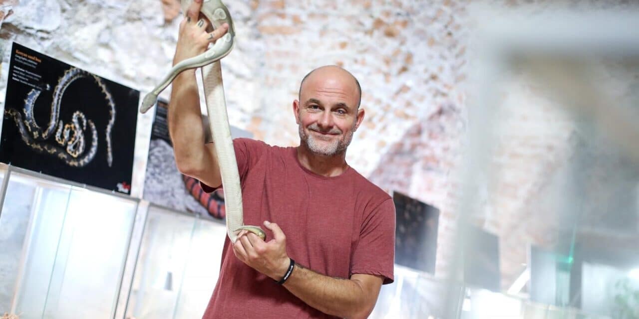 Zagreb: Otvorena izložba zmija “Snakes on Stross”