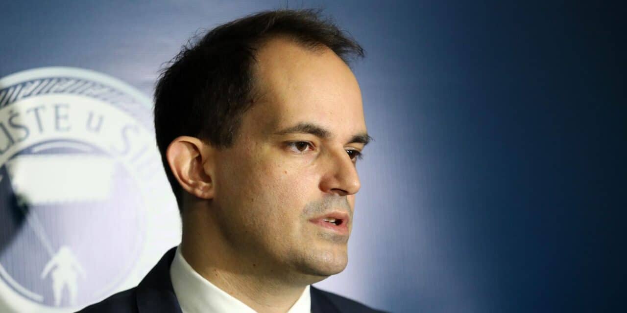 ivan malenica