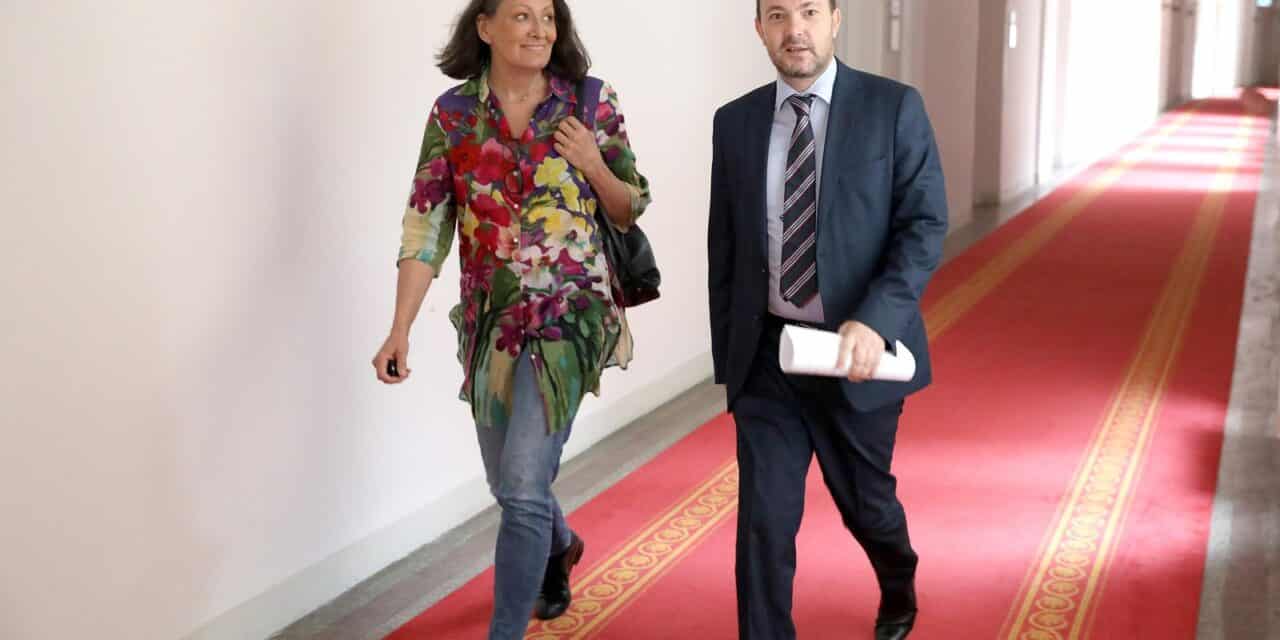 arsen bauk