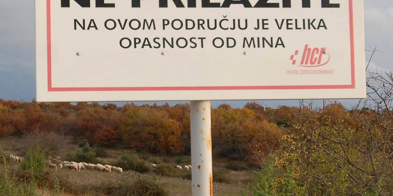 Zadar: Ovce pasu usred minskog polja