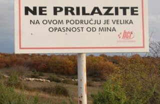 Zadar: Ovce pasu usred minskog polja