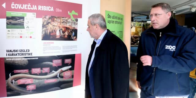 Zagreb: U Zoološkom vrtu otvorene nove nastambe za čovječje ribice i dinarske voluhare