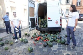 Zagreb: Kaos pred Vladom, Sinčić istovario hrpu lubenica na Markovom trgu