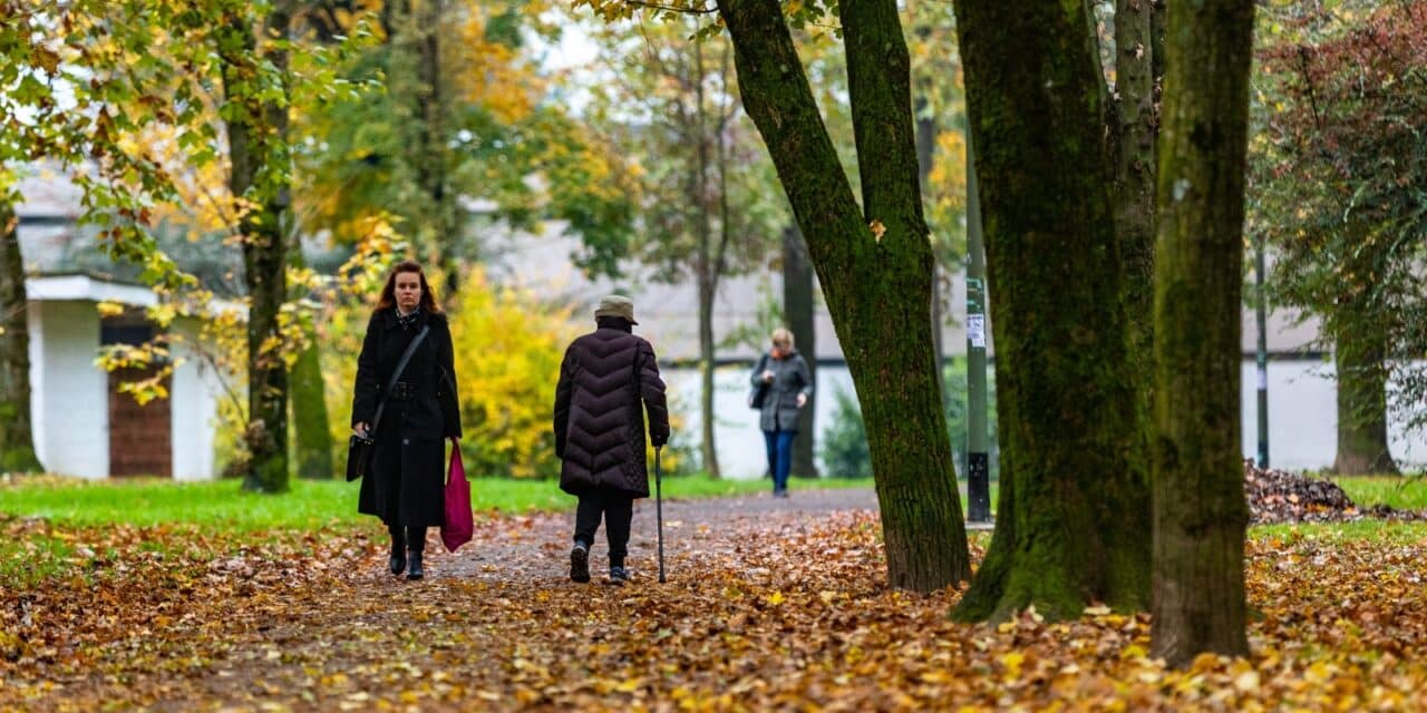 Zagreb: Jesen u Parku mladenaca