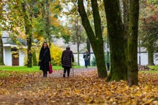 Zagreb: Jesen u Parku mladenaca