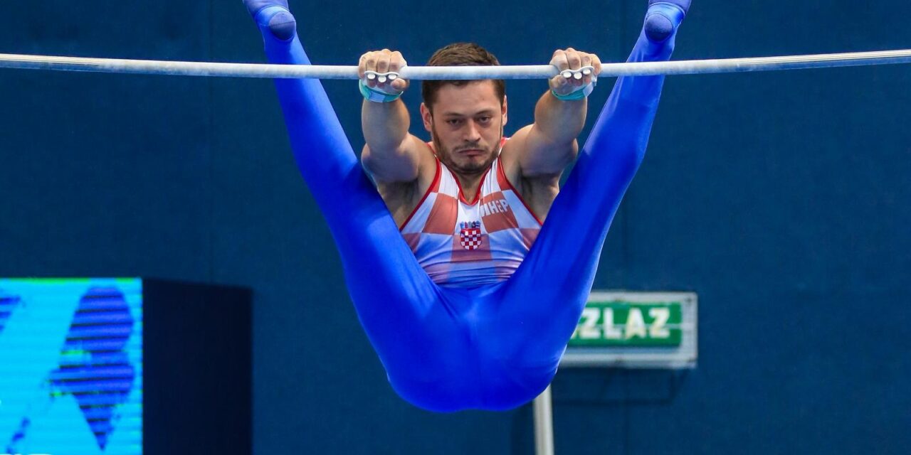 tin srbić