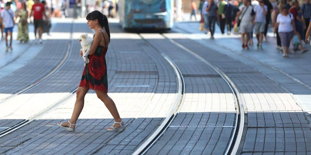 Zagreb: Psi kao najbolje društvo za šetnju centrom grada