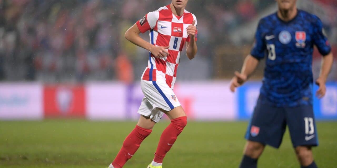 luka sučić