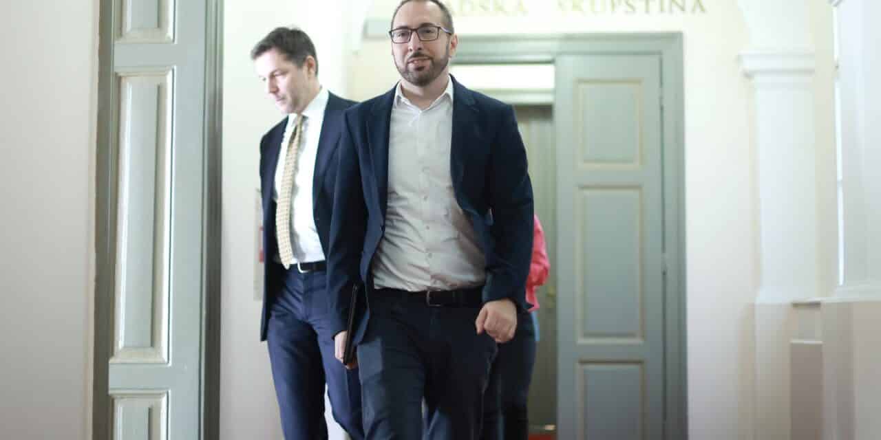 tomislav tomašević