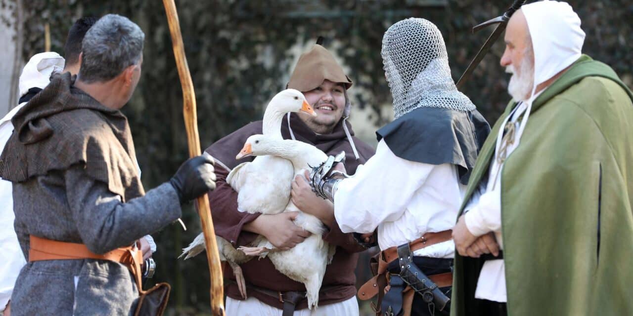 seljačka buna