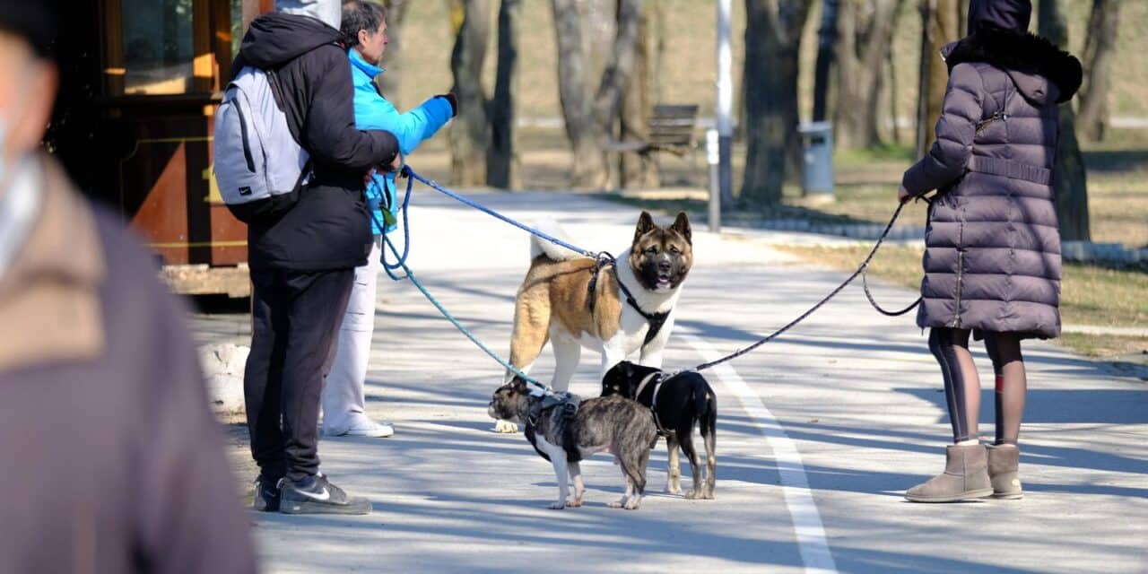 Zagreb: Mirno nedjeljno jutro na Bundeku