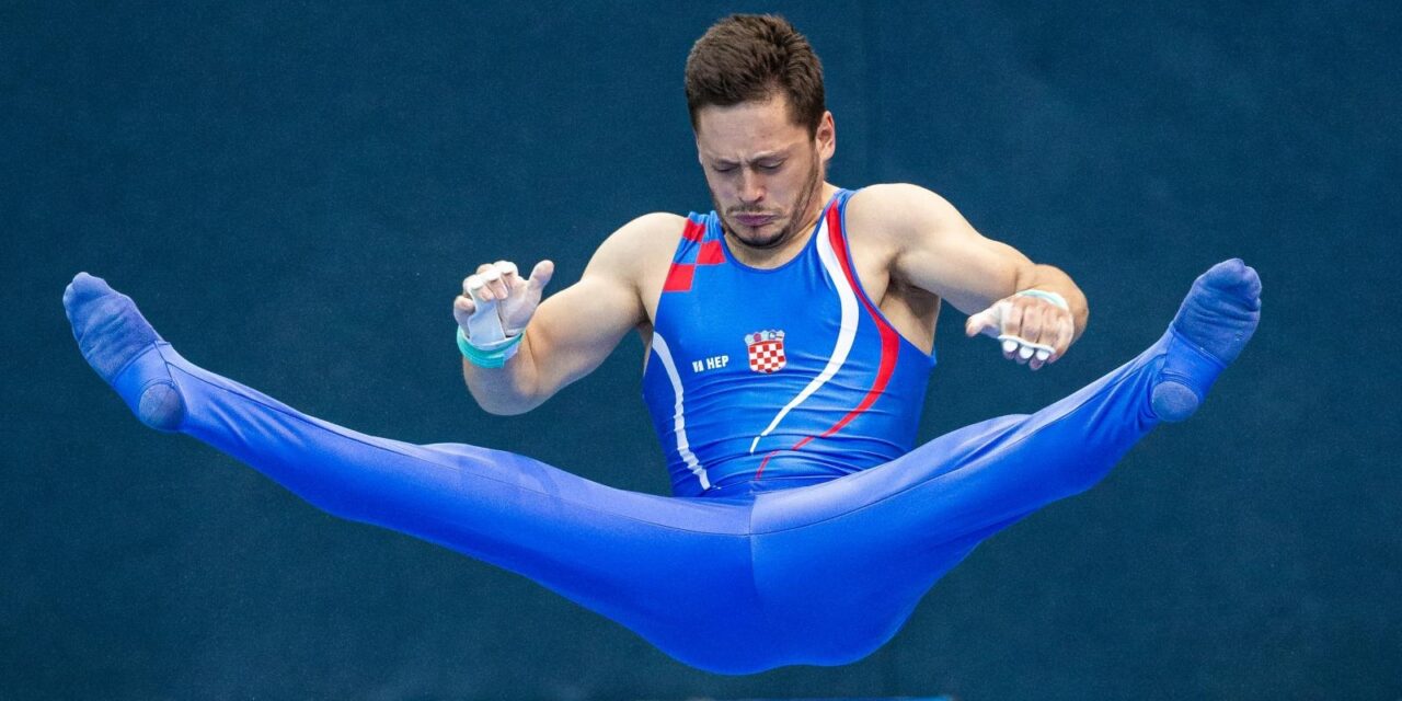 tin srbić