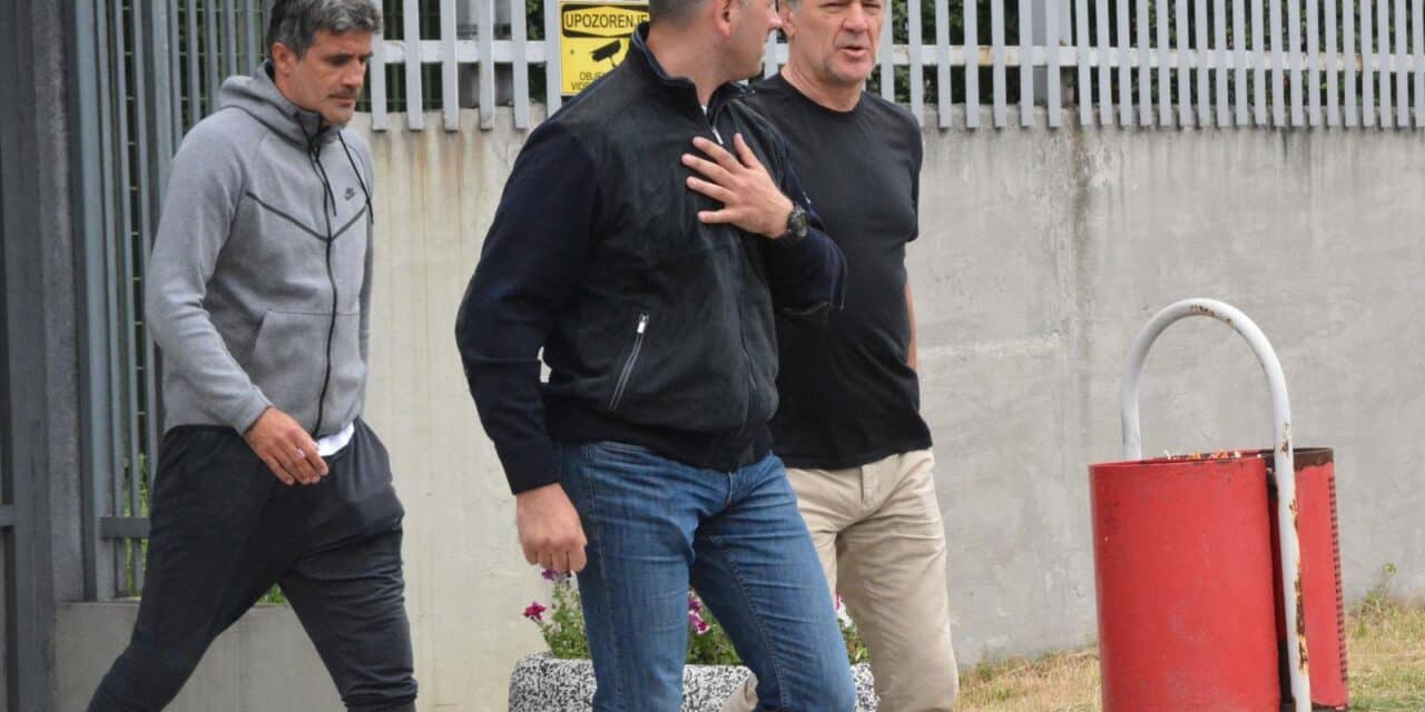 braća mamić