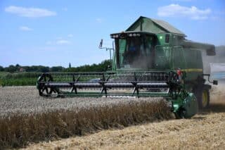 Na bilogorskim poljima počela sezona žetve pšenice