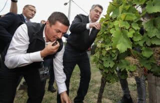 Predsjednik Zoran Milanović sudjelovao u Diplomatskoj berbi grožđa na Plešivici