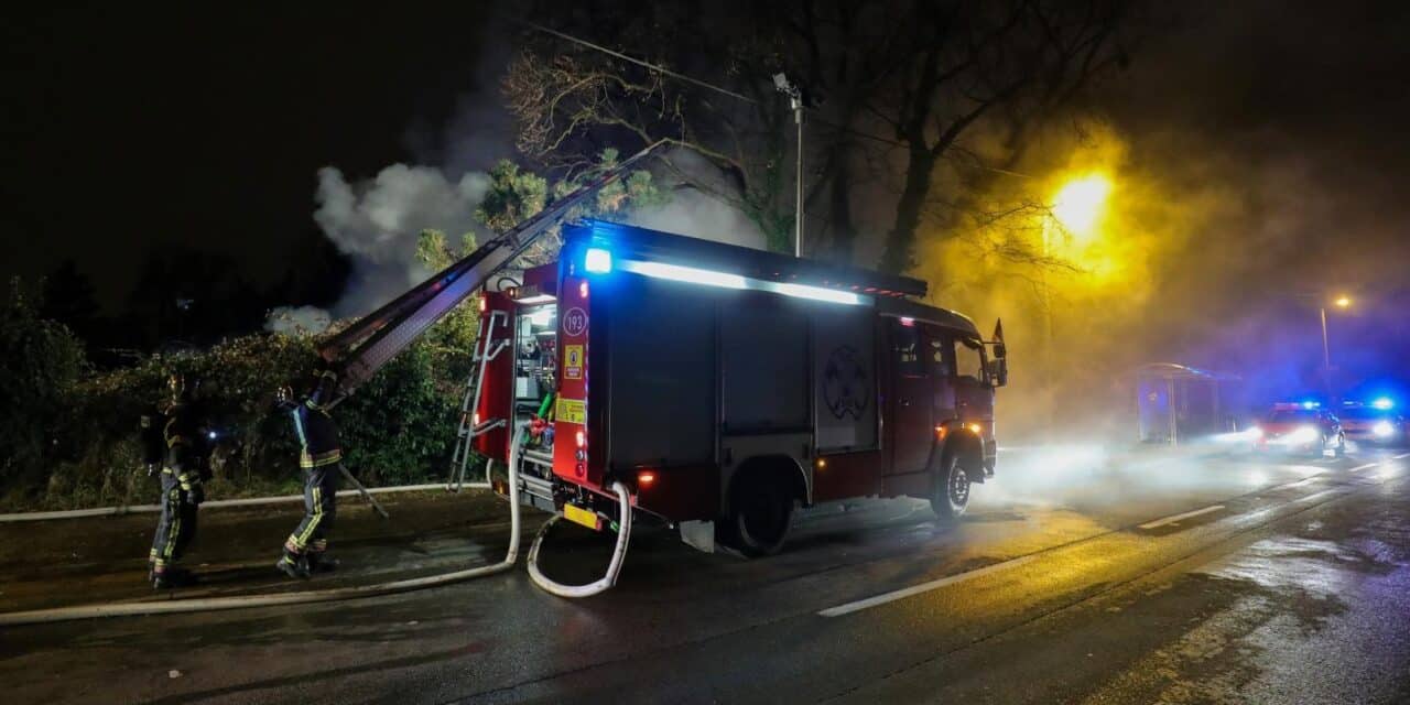 Zagreb: Vatrgasci gase požar na prostoru na kojemu se prodaju borovi na Mirogoju
