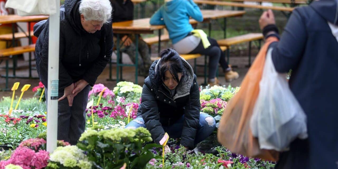 floraart