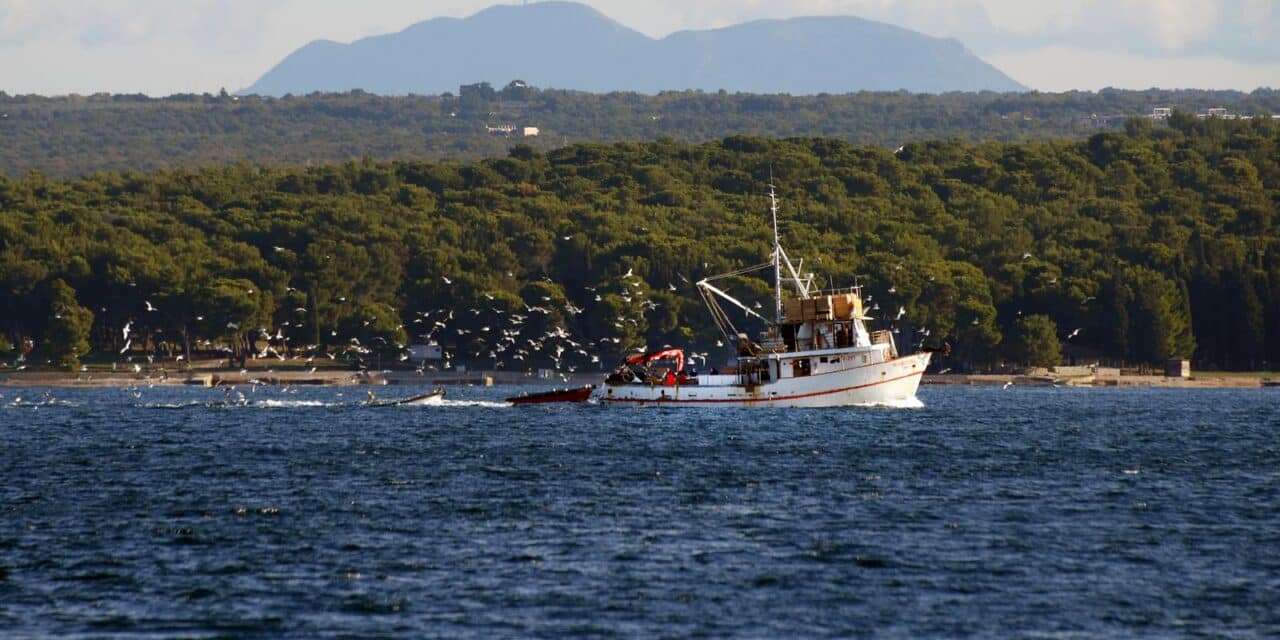 Fažana: Ribarica s ulovom vraća se u pulsku luku