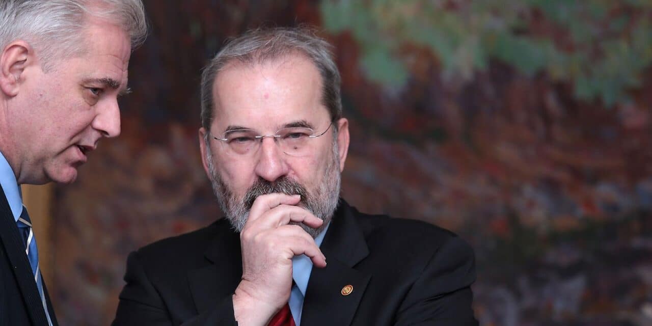 mladen bajić
