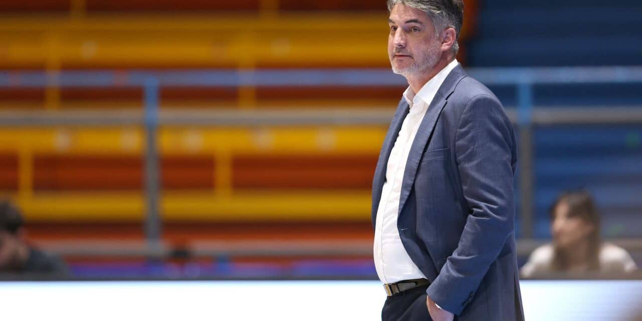 damir mulaomerović