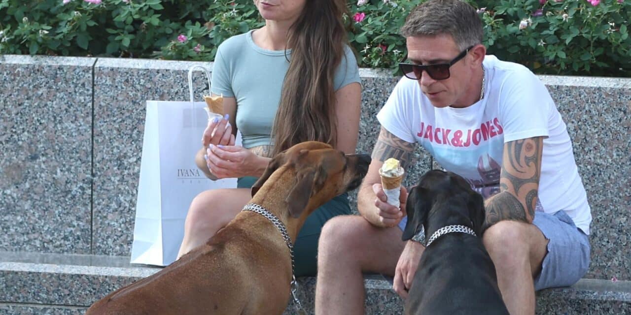 Sladoleda uvijek ima dovoljno za sve – vlasnik podijelio svoj s psima