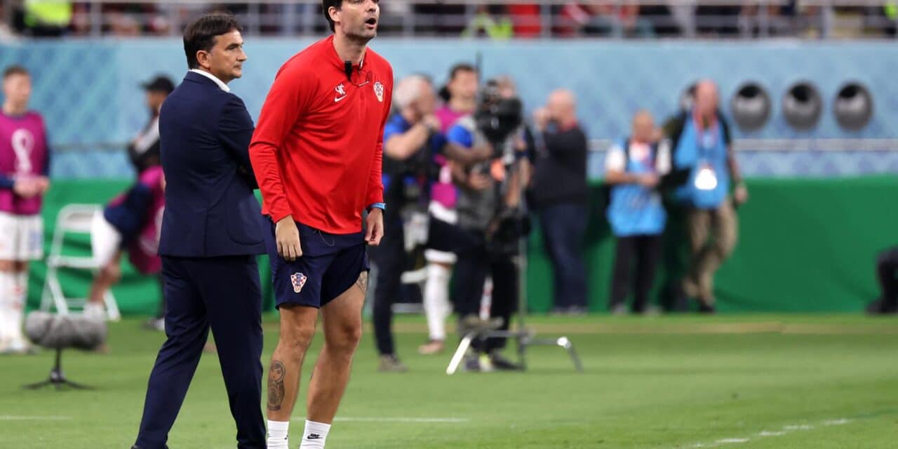 vedran ćorluka