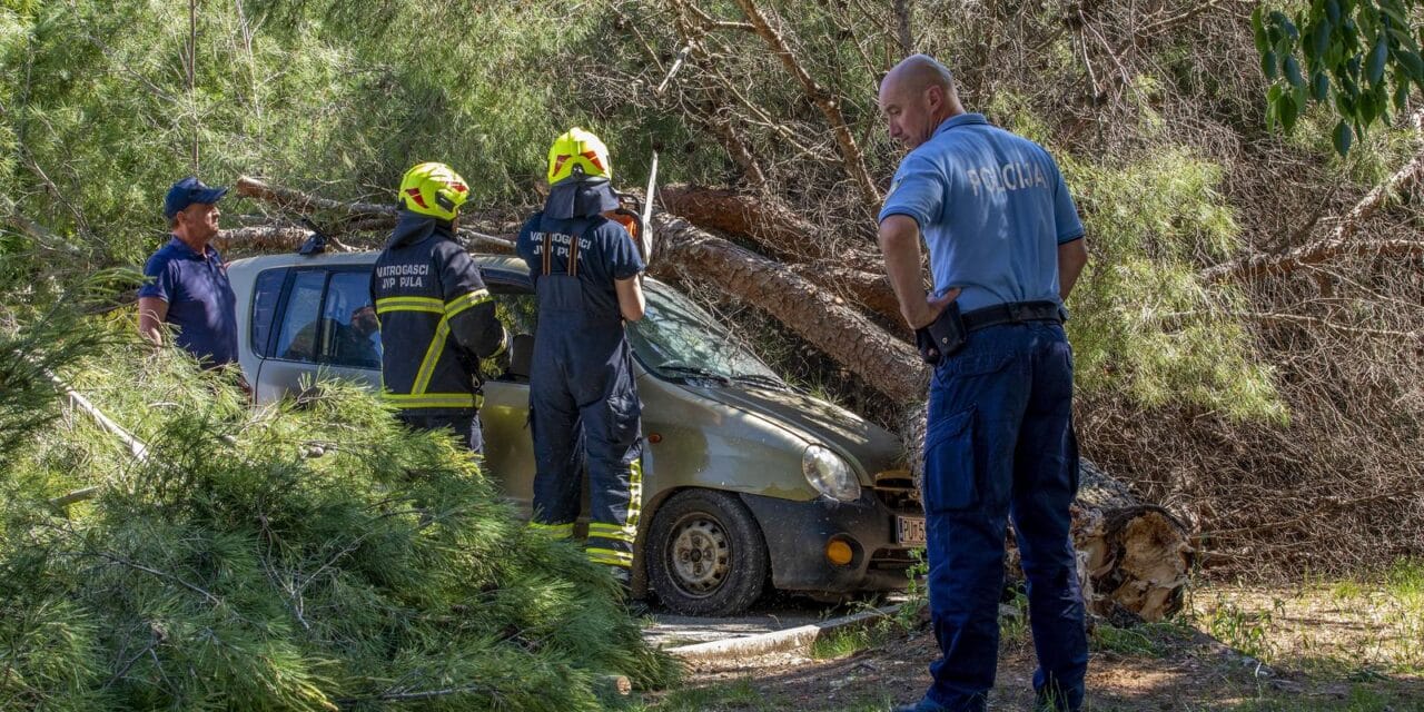 Pula: Na parkiralištu trgovine odlomilo se stablo i palo je na dva parkirana automobila