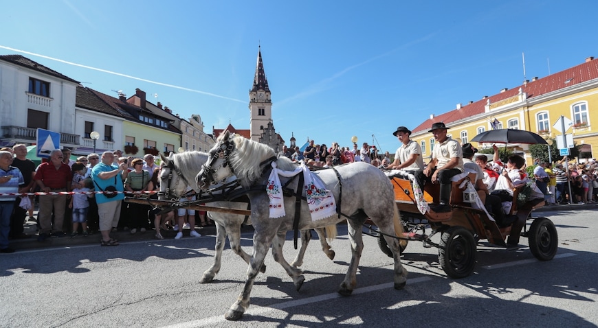 17. hodočašće konjskim zapregama u svetište Majke Božje Bistričke