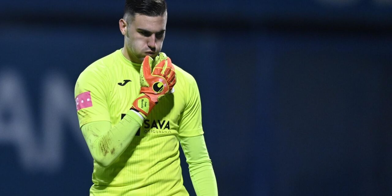ivan nevistić