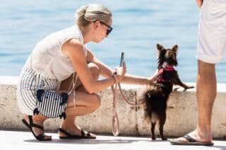 Split: Djevojka namješta psića za što bolju fotografiju