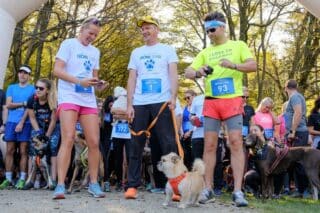 Zagreb: Na Maksimiru održana utrka s psima