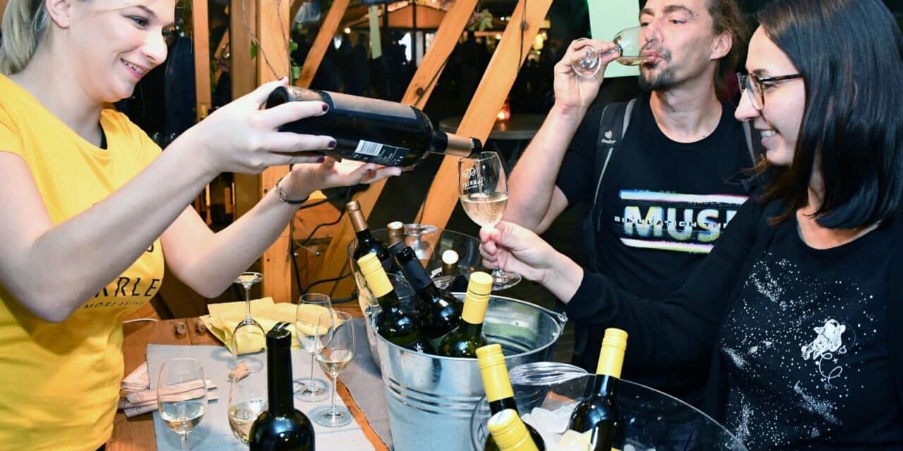 Manifestacija “Vino i sve sisačko fino”
