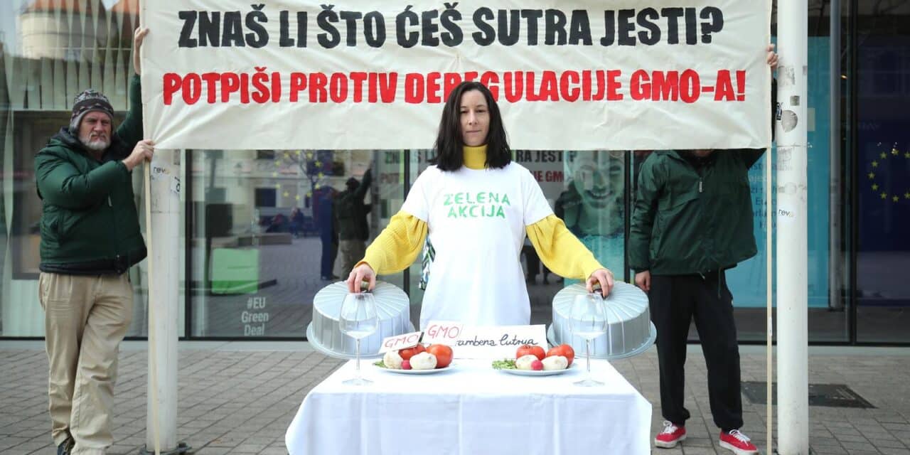 Zagreb:  Performans Zelene akcije na Europskom trgu