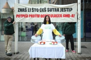 Zagreb:  Performans Zelene akcije na Europskom trgu