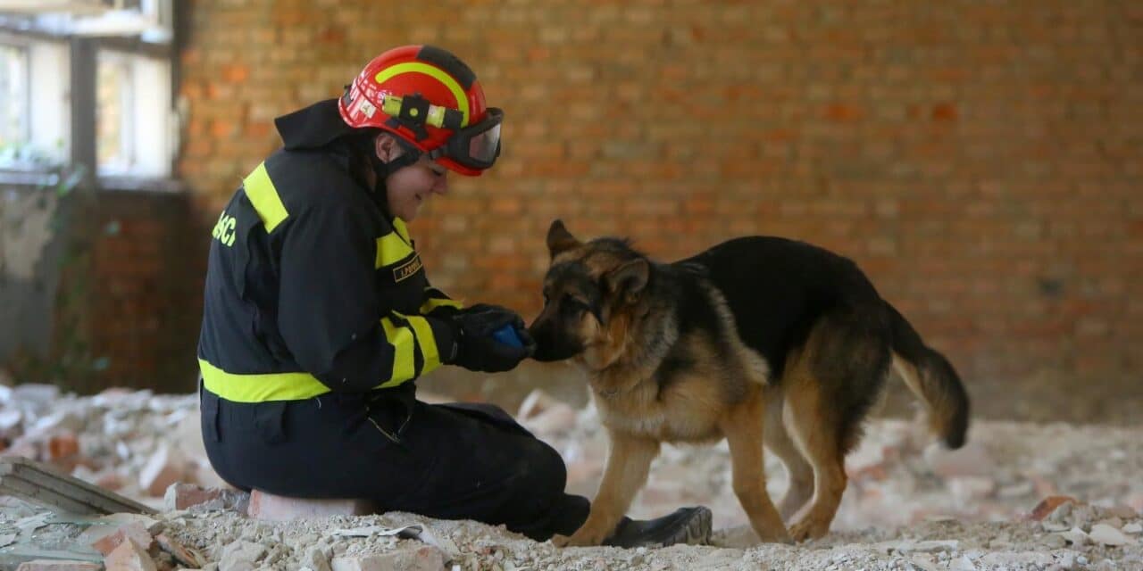 vatrogasci pas
