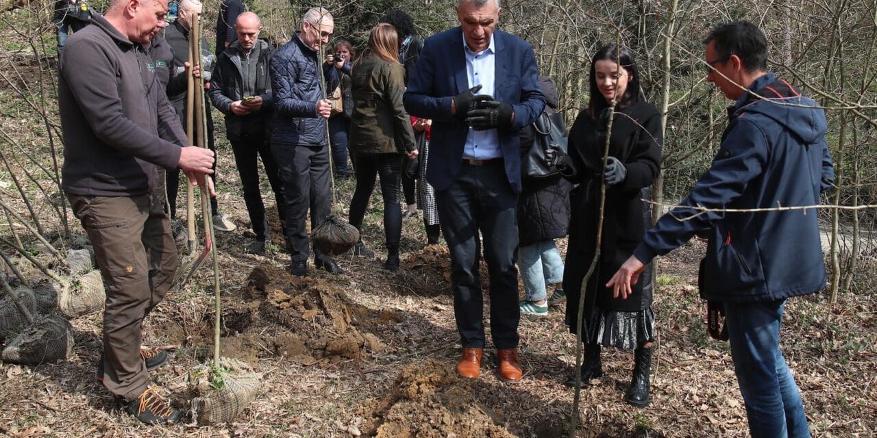 Zagreb: Ministrica Vučković sadila stabla povodom Svjetskog dana šuma