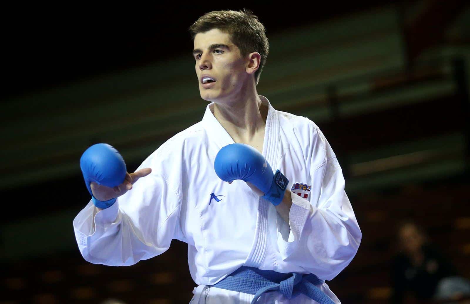 enes garibović