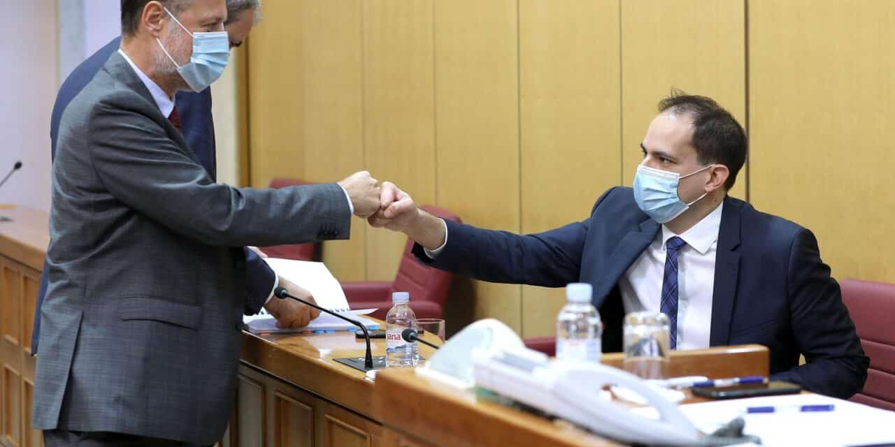 ivan malenica