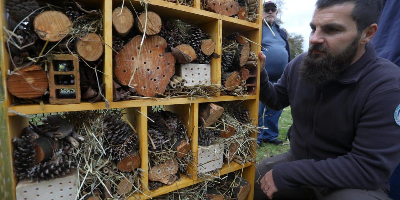 Postavljen je prvi karlovački hotel za pčele koji su izradili učenici Šumarske škole