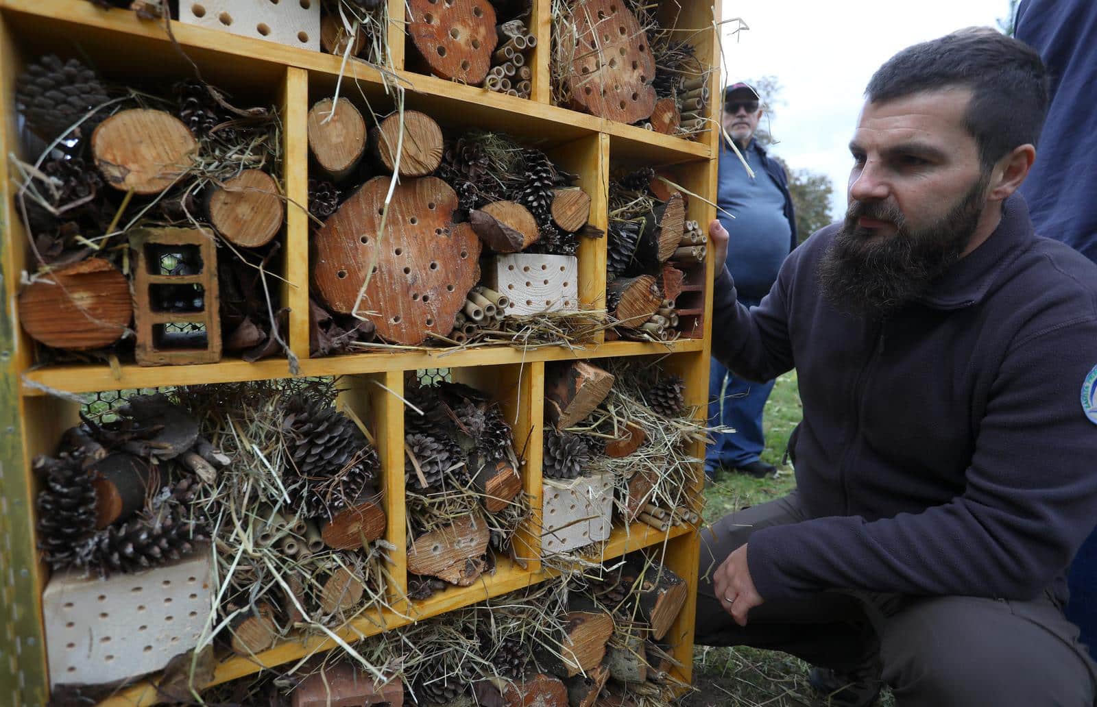 Postavljen je prvi karlovački hotel za pčele koji su izradili učenici Šumarske škole