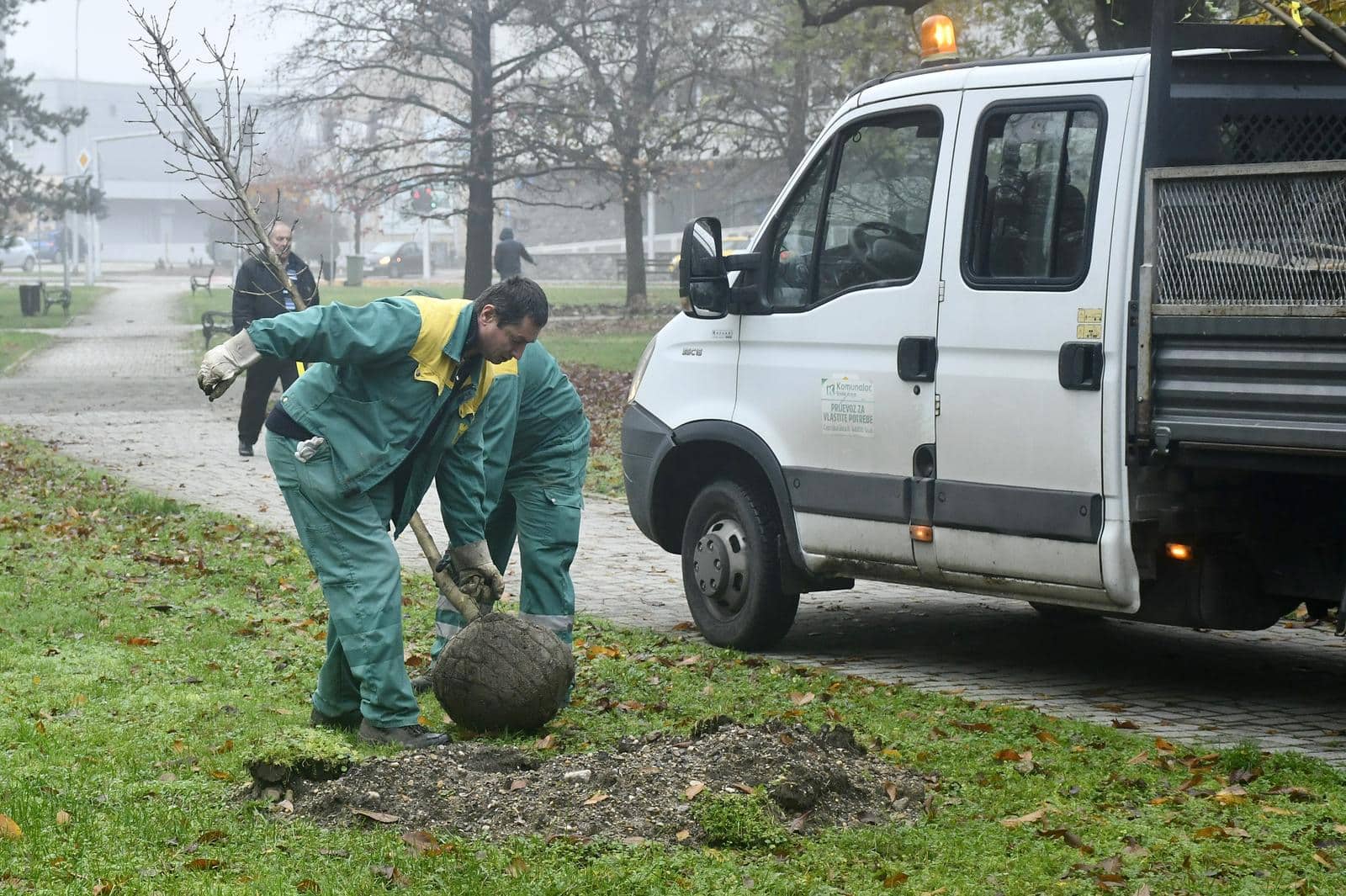 Sisak je dobio 170 novih stabala u gradskoj akciji “Zeleni Sisak za zeleni planet”