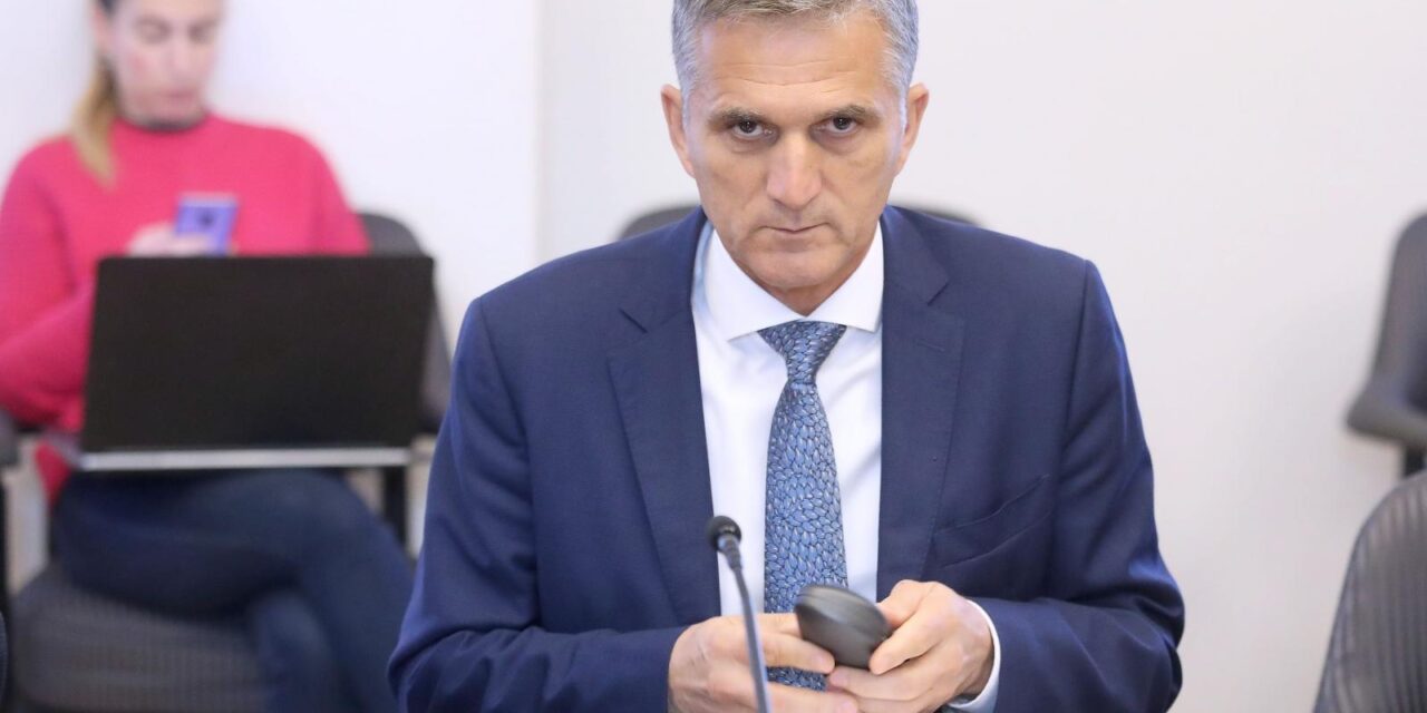 goran marić