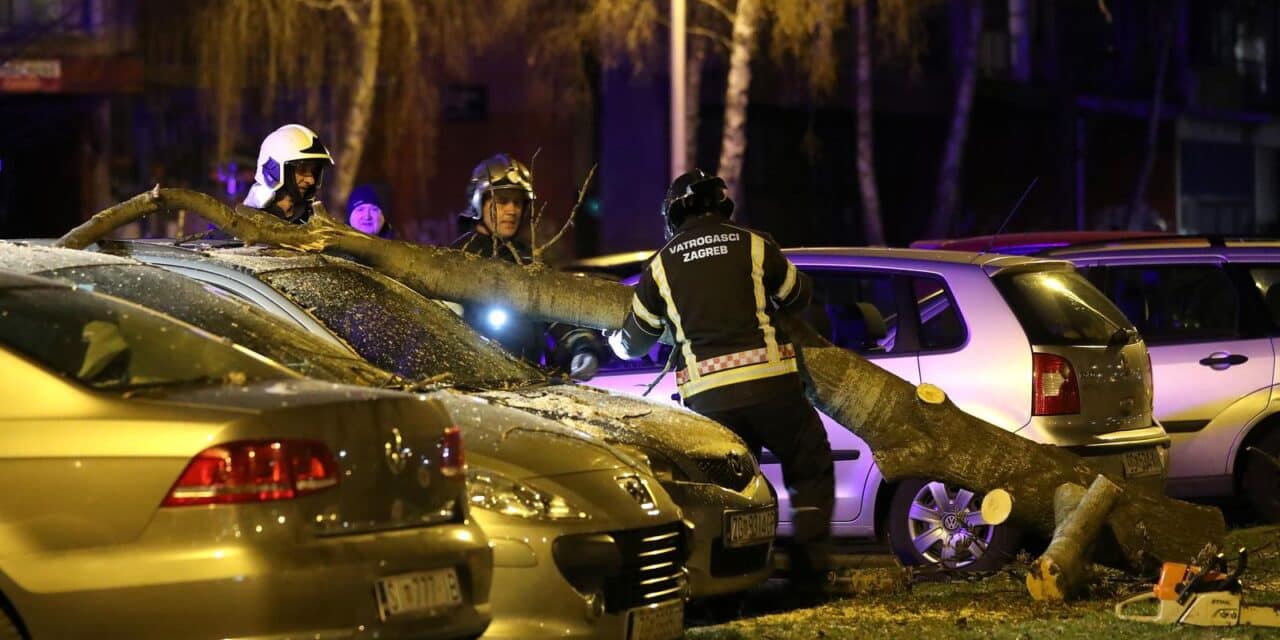 Sloboština: Drvo se srušilo na nekoliko parkiranih automobila, vatrogasci intervenirali
