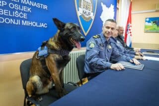 Osijek: Policijski pas Don zvijezda konferencije za medije, sjedio za stolom i pozirao kraj svog ulova