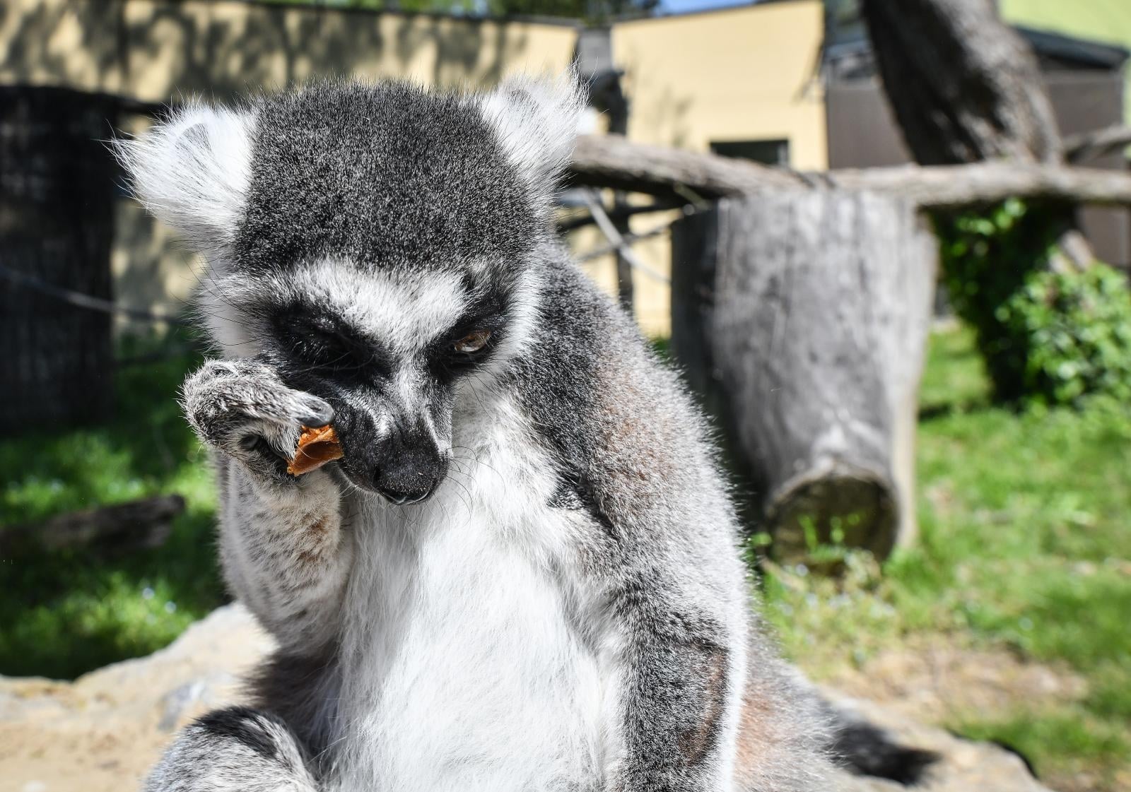 zagrebački zoo