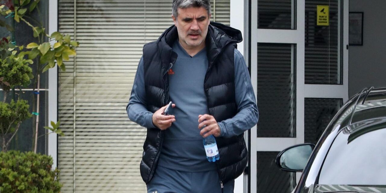 zoran mamić